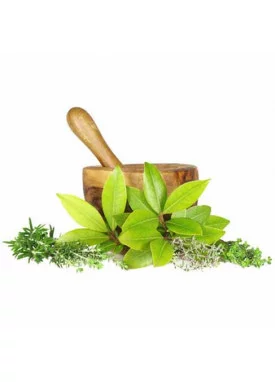 Ayurvedic Products